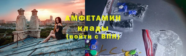 ГАЛЛЮЦИНОГЕННЫЕ ГРИБЫ Надым