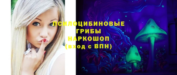 ПСИЛОЦИБИНОВЫЕ ГРИБЫ Наволоки