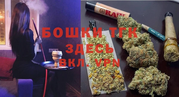 ГАЛЛЮЦИНОГЕННЫЕ ГРИБЫ Надым