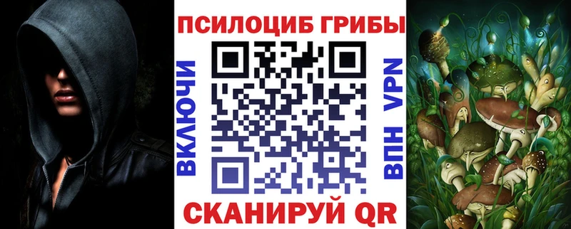 Псилоцибиновые грибы Psilocybine cubensis  хочу наркоту  Исилькуль 